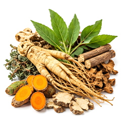 product-medicinal-plants-ayumor-pune-india
