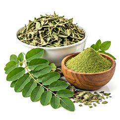 product-moringa-products-ayumor-pune-india
